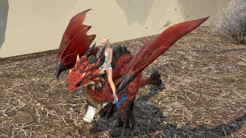 【FF14】エル・トゥ（マウント）