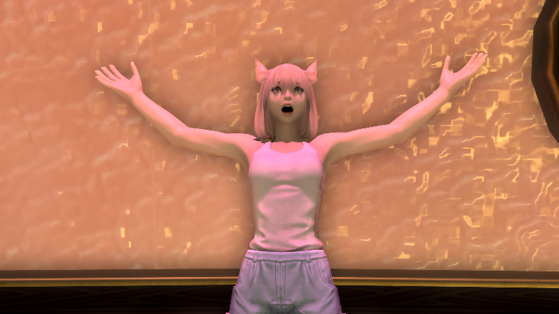 【FF14】大げさに驚く（エモート）