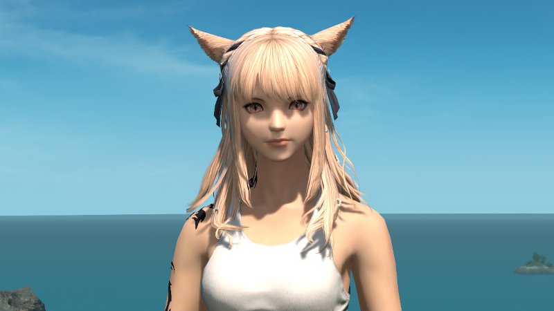 【FF14】ヘアカタログ:ハーフツインテール（髪型）