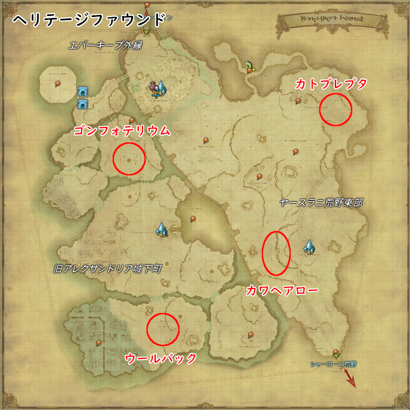 【FF14】ヘリテージファウンド（カワヘアロー/カトブレプタ/ゴンフォテリウム/ウールバック）