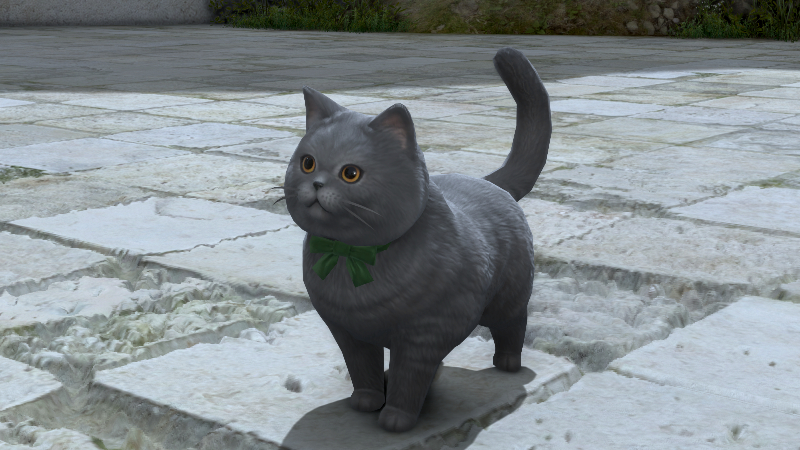 【FF14】ラノシアンショートヘア(ミニオン) 【FF14】ラノシアンショートヘア(ミニオン)