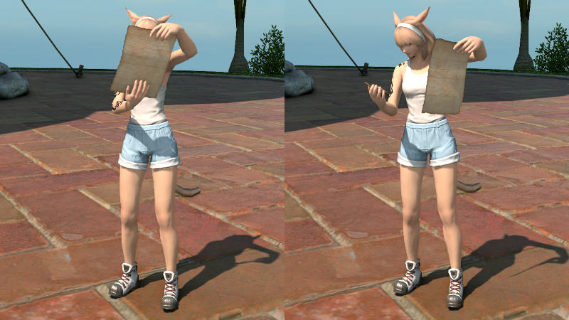 【FF14】演技教本:地図を見る（エモート）