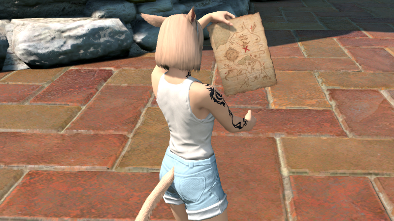 【FF14】演技教本:地図を見る（エモート）