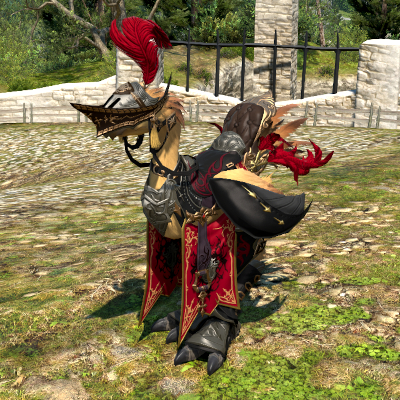 【FF14】レッド・バード(チョコボ装備) 【FF14】レッド・バード(チョコボ装備)