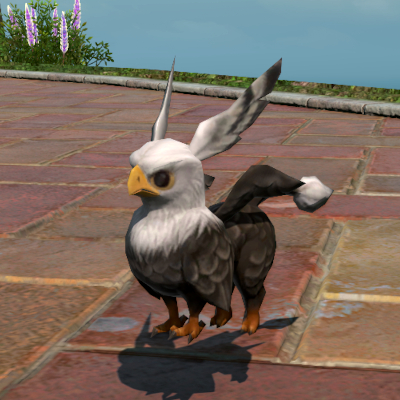 【FF14】グリフィン・ハッチリング(ミニオン) 【FF14】グリフィン・ハッチリング(ミニオン)