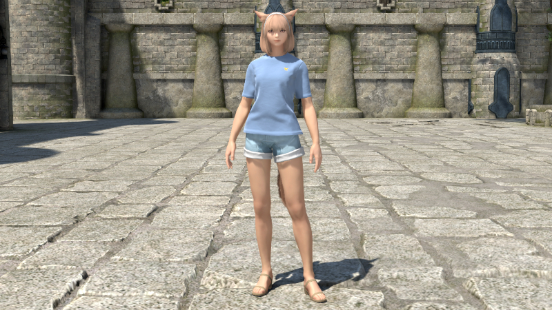 【FF14】チョコボ・デイリーチュニック