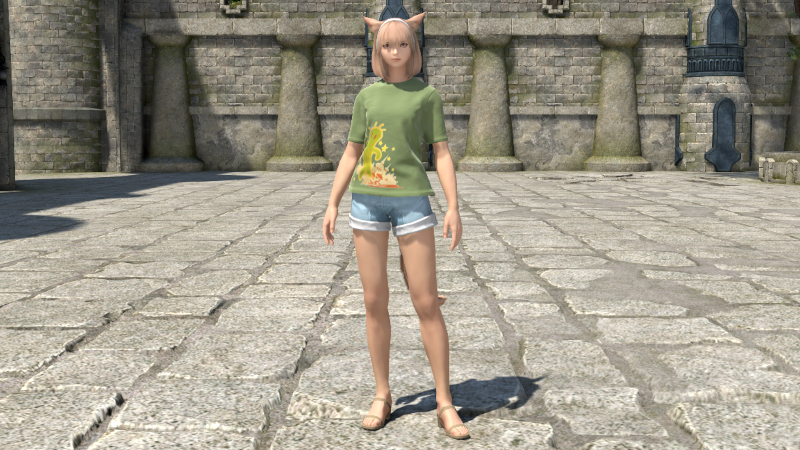 【FF14】サボテンダー・デイリーチュニック