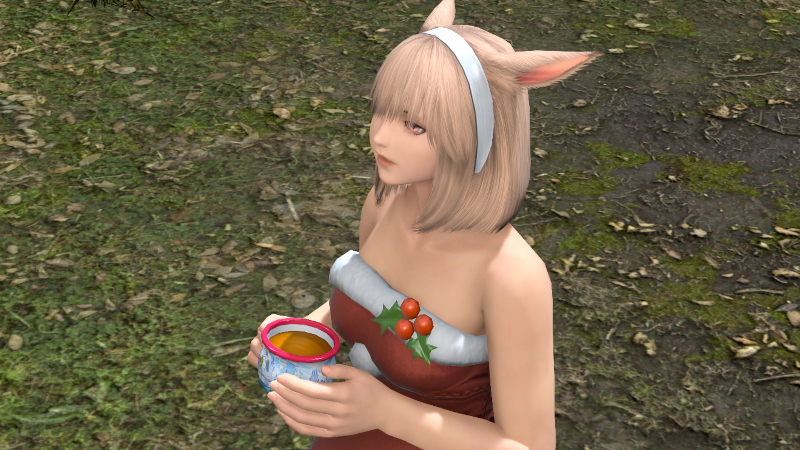 【FF14】海都風マグカップで飲む/海都風マグカップで飲み続ける（エモート）