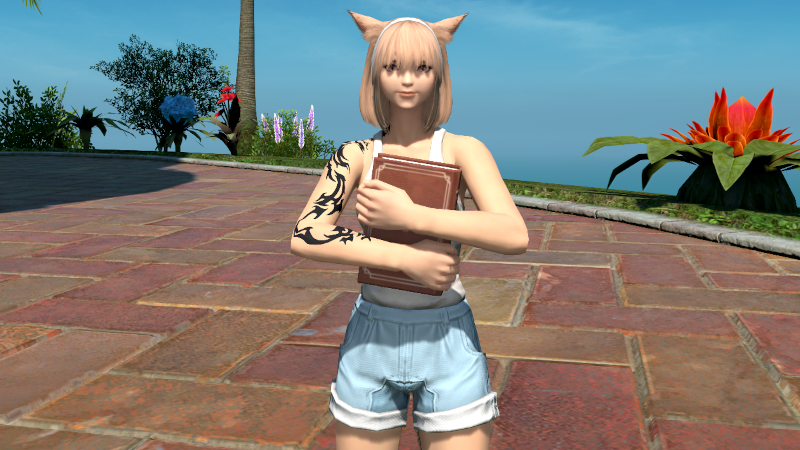 【FF14】演技教本:本を抱える