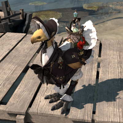 【FF14】メイド・バード（チョコボ装備）