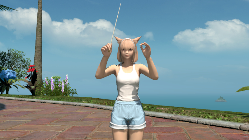 【FF14】演技教本:指揮棒を振る（エモート）