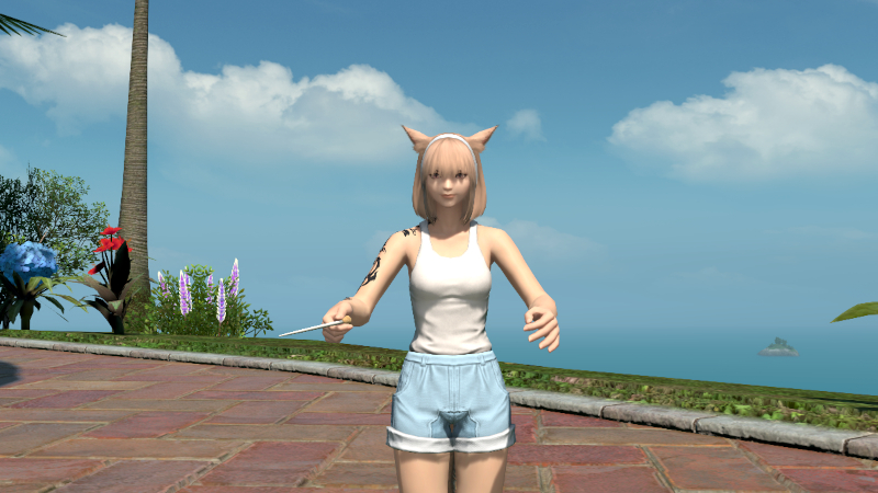 【FF14】演技教本:指揮棒を振る（エモート）