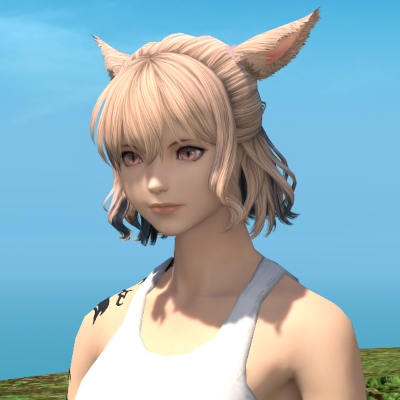 【FF14】ヘアカタログ:ハーフアップボブ 【FF14】ヘアカタログ:ハーフアップボブ