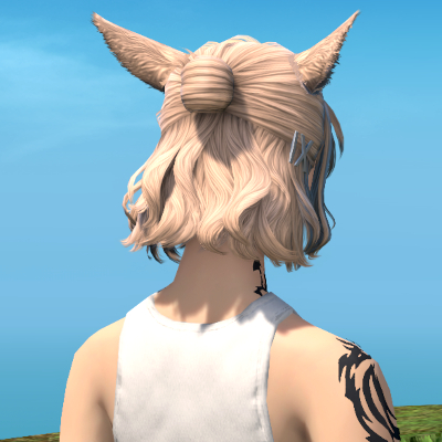 【FF14】ヘアカタログ:ハーフアップボブ 【FF14】ヘアカタログ:ハーフアップボブ