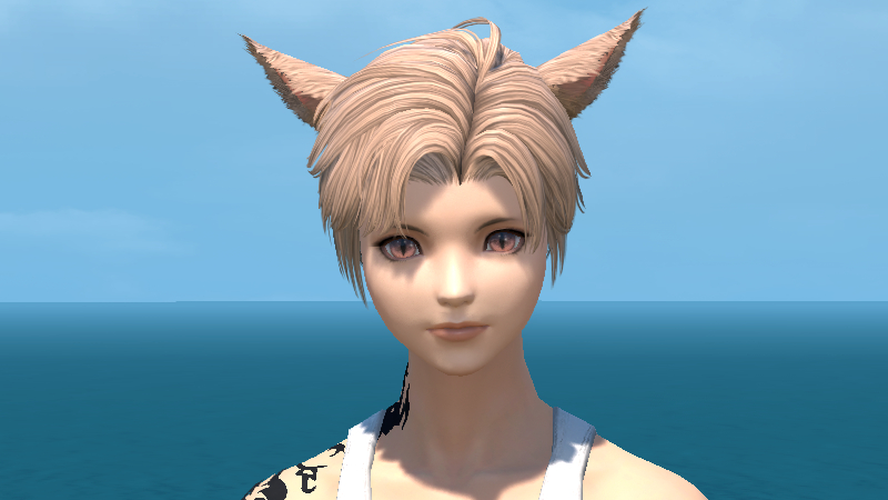 【FF14】ヘアカタログ:ソフトツーブロック