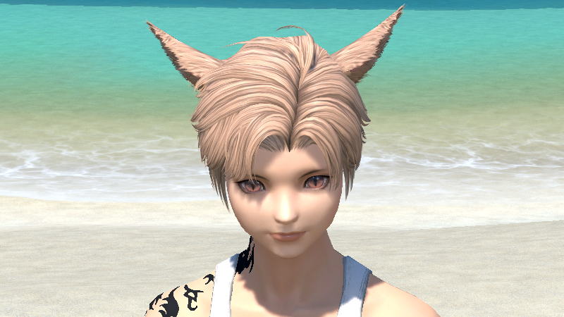 【FF14】ヘアカタログ:ソフトツーブロック