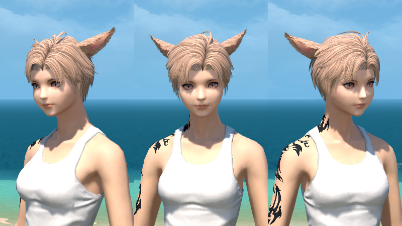 【FF14】ヘアカタログ:ソフトツーブロック