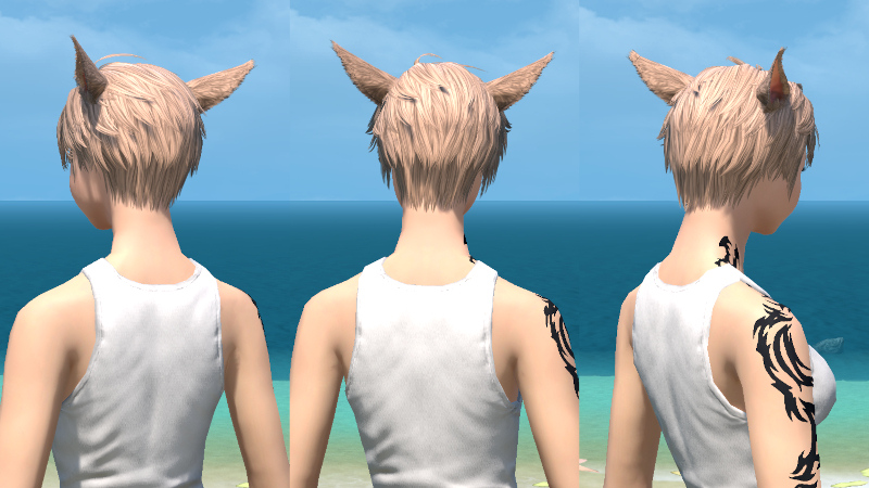 【FF14】ヘアカタログ:ソフトツーブロック