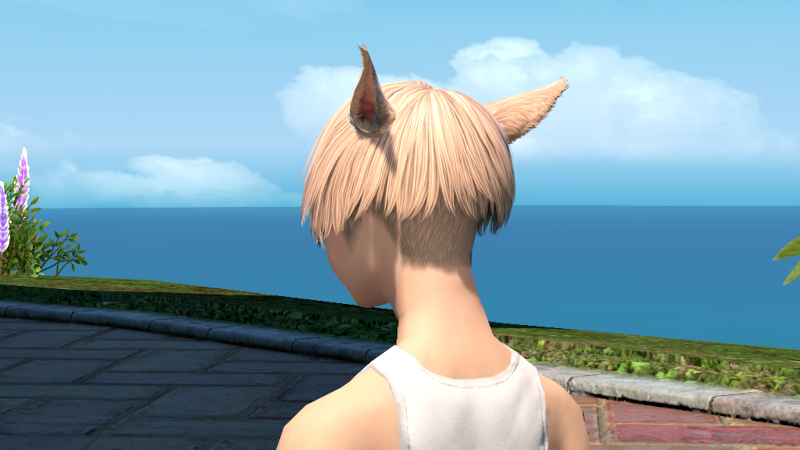 【FF14】ヘアカタログ:マッシュショート