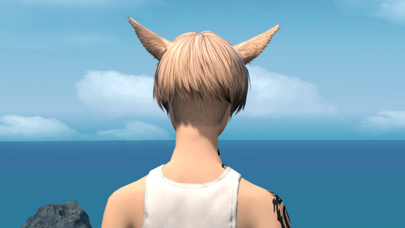 【FF14】ヘアカタログ:マッシュショート（メッシュ入り）