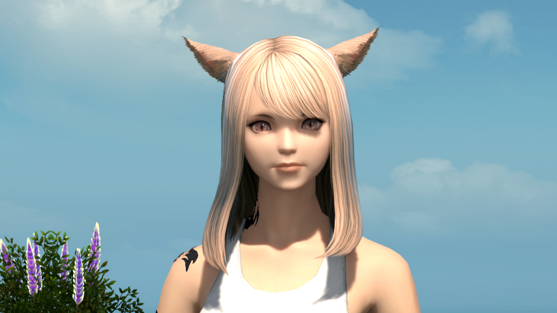 【FF14】ヘアカタログ:シンプルストレート 【FF14】ヘアカタログ:シンプルストレート