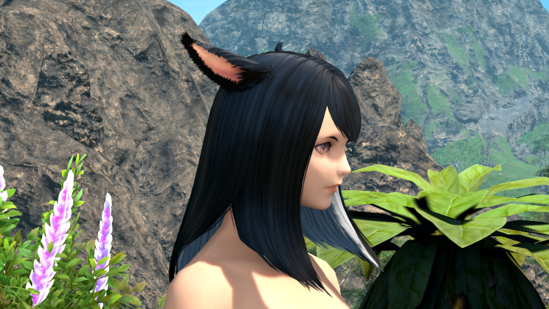 【FF14】ヘアカタログ:シンプルストレート(メッシュ入り) 【FF14】ヘアカタログ:シンプルストレート(メッシュ入り)