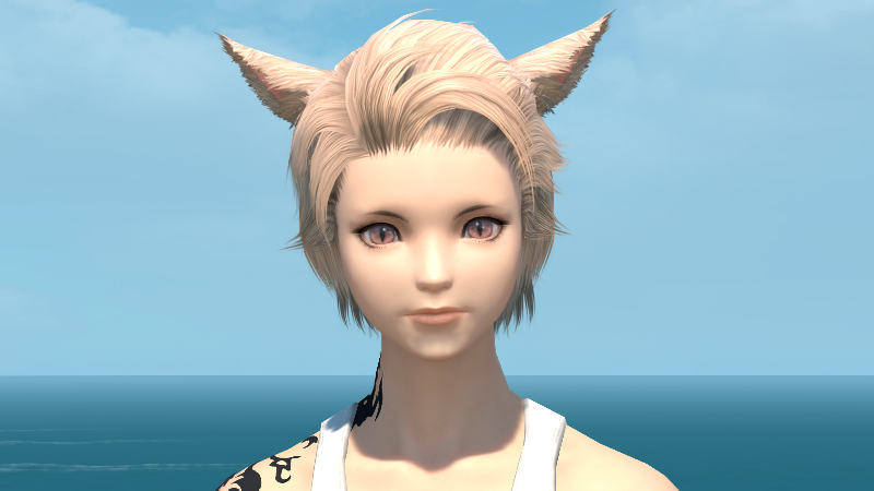 【FF14】ヘアカタログ:シンプルストレート 【FF14】ヘアカタログ:シンプルストレート