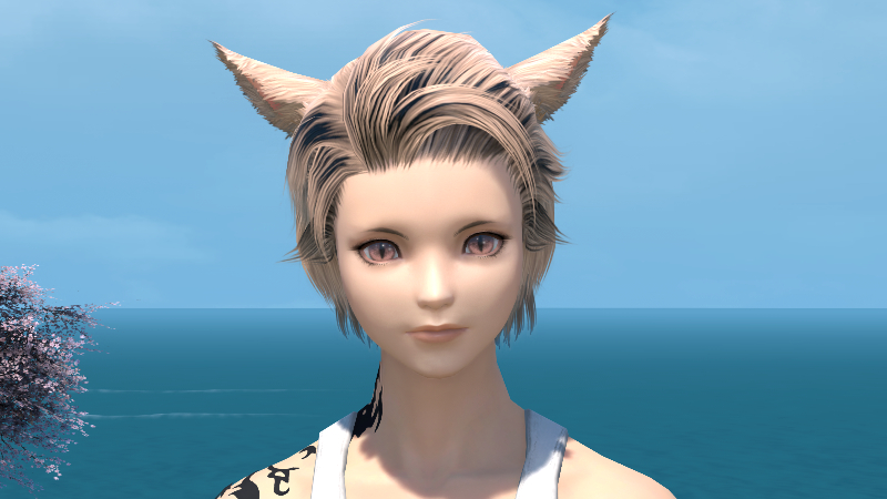 【FF14】ヘアカタログ:シンプルストレート(メッシュ入り) 【FF14】ヘアカタログ:シンプルストレート(メッシュ入り)