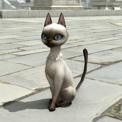 【FF14】ナグサキャット（ミニオン）