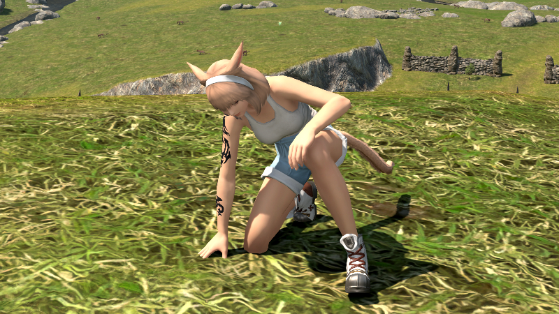 【FF14】演技教本:膝を突く（エモート）