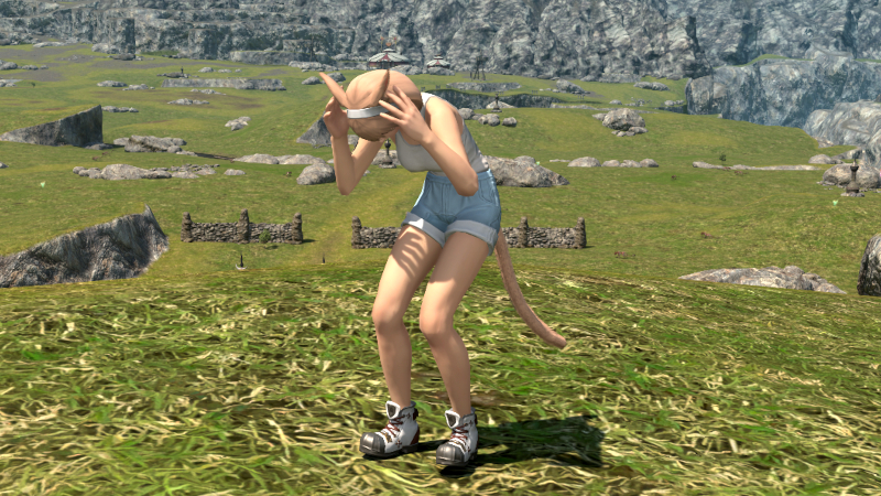 【FF14】演技教本:怯える（エモート）